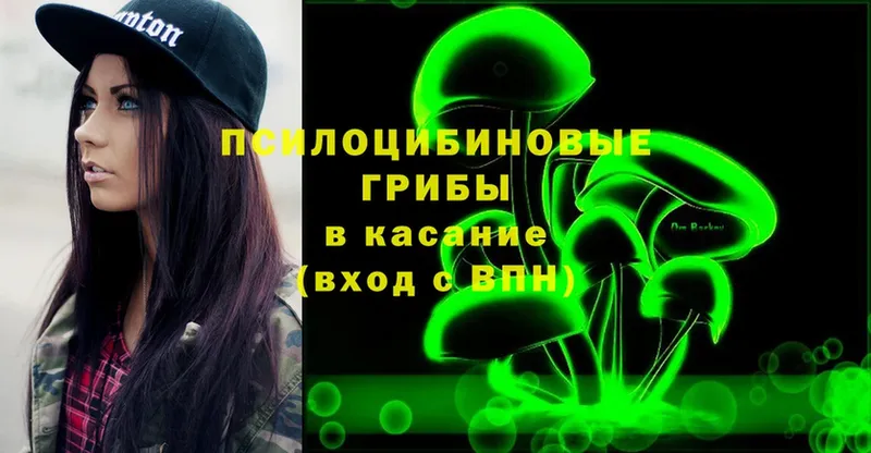 Псилоцибиновые грибы MAGIC MUSHROOMS  закладка  Закаменск 